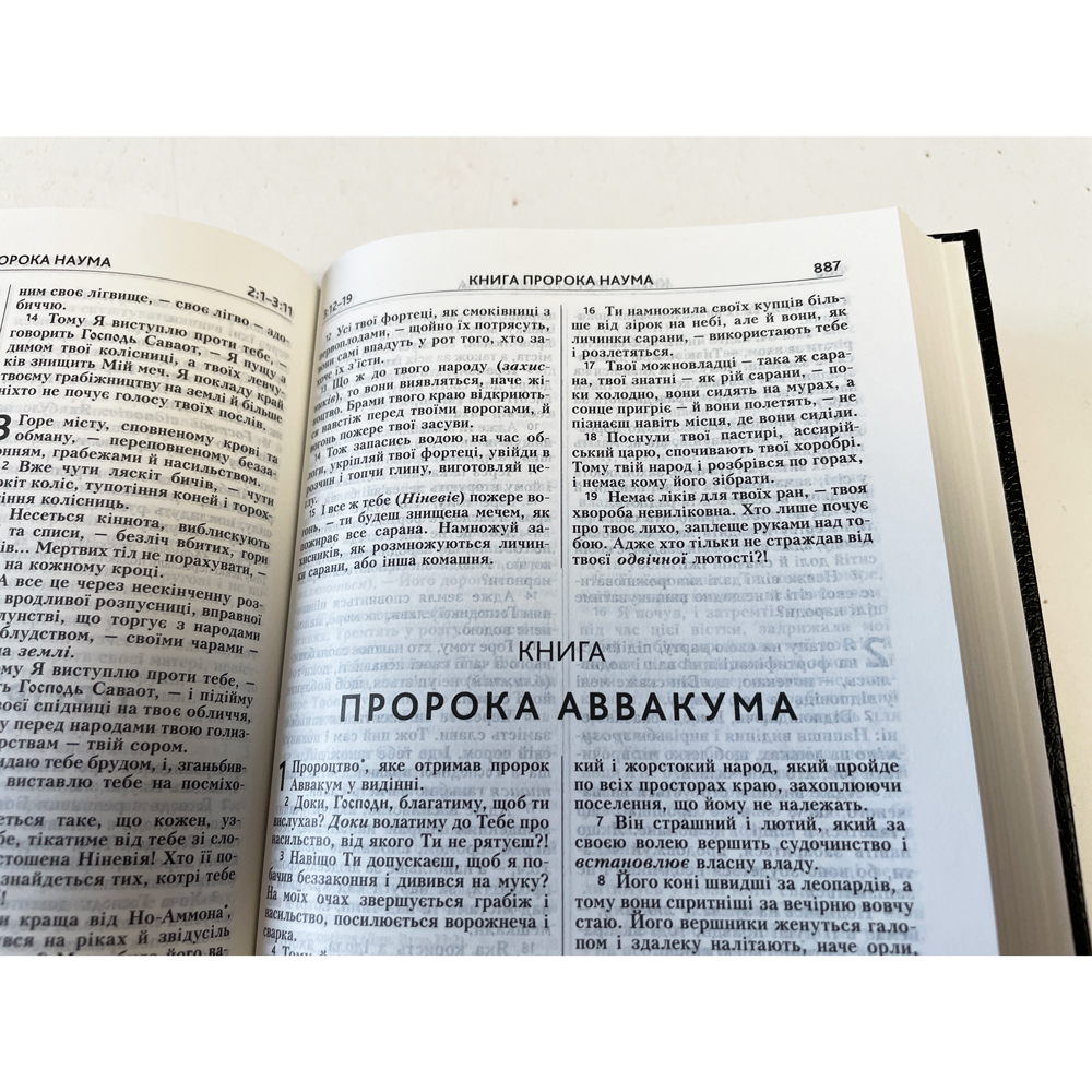 Сучасний переклад, Біблія Турконяка арт. 10431