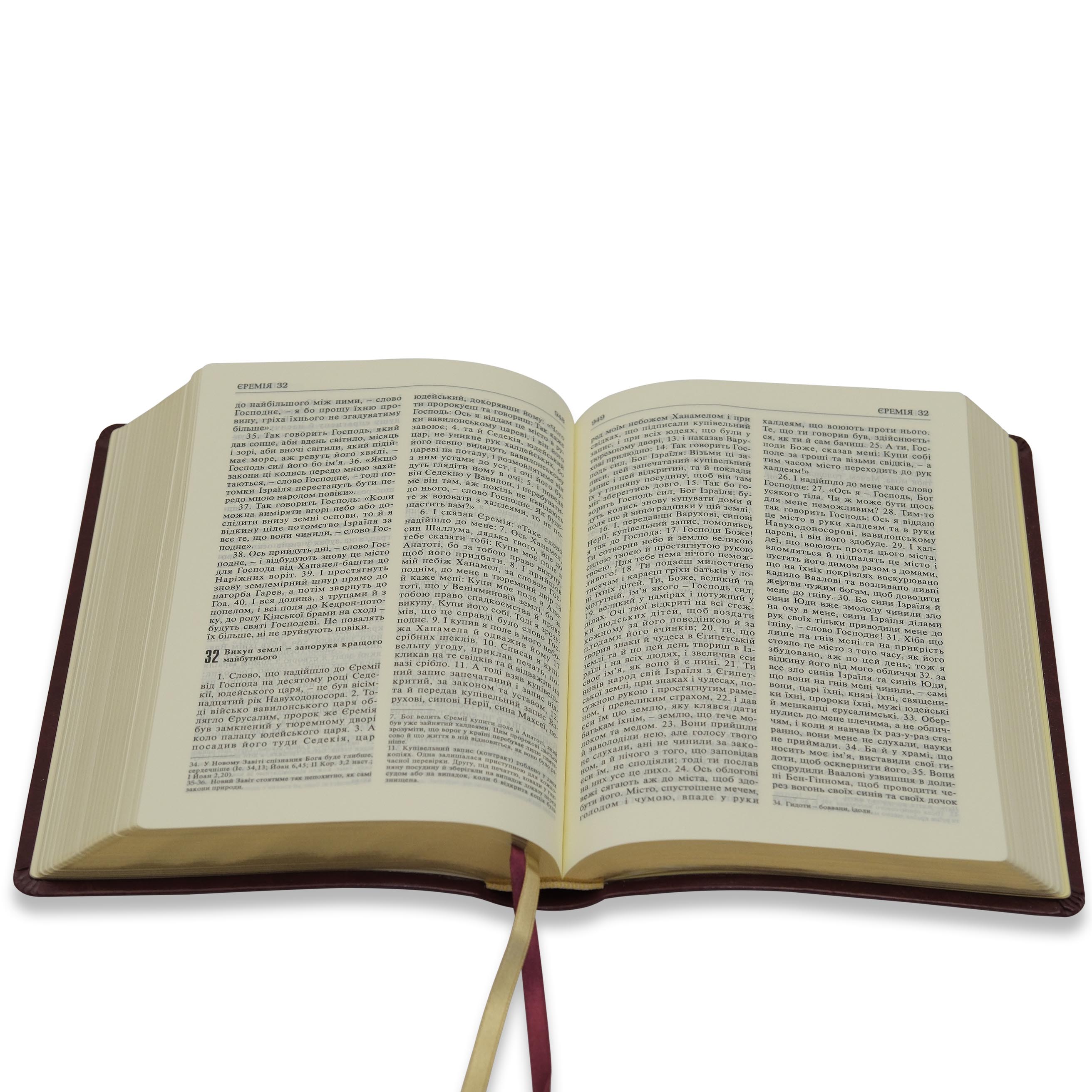 Святе Письмо арт. 1065 (в футлярі)