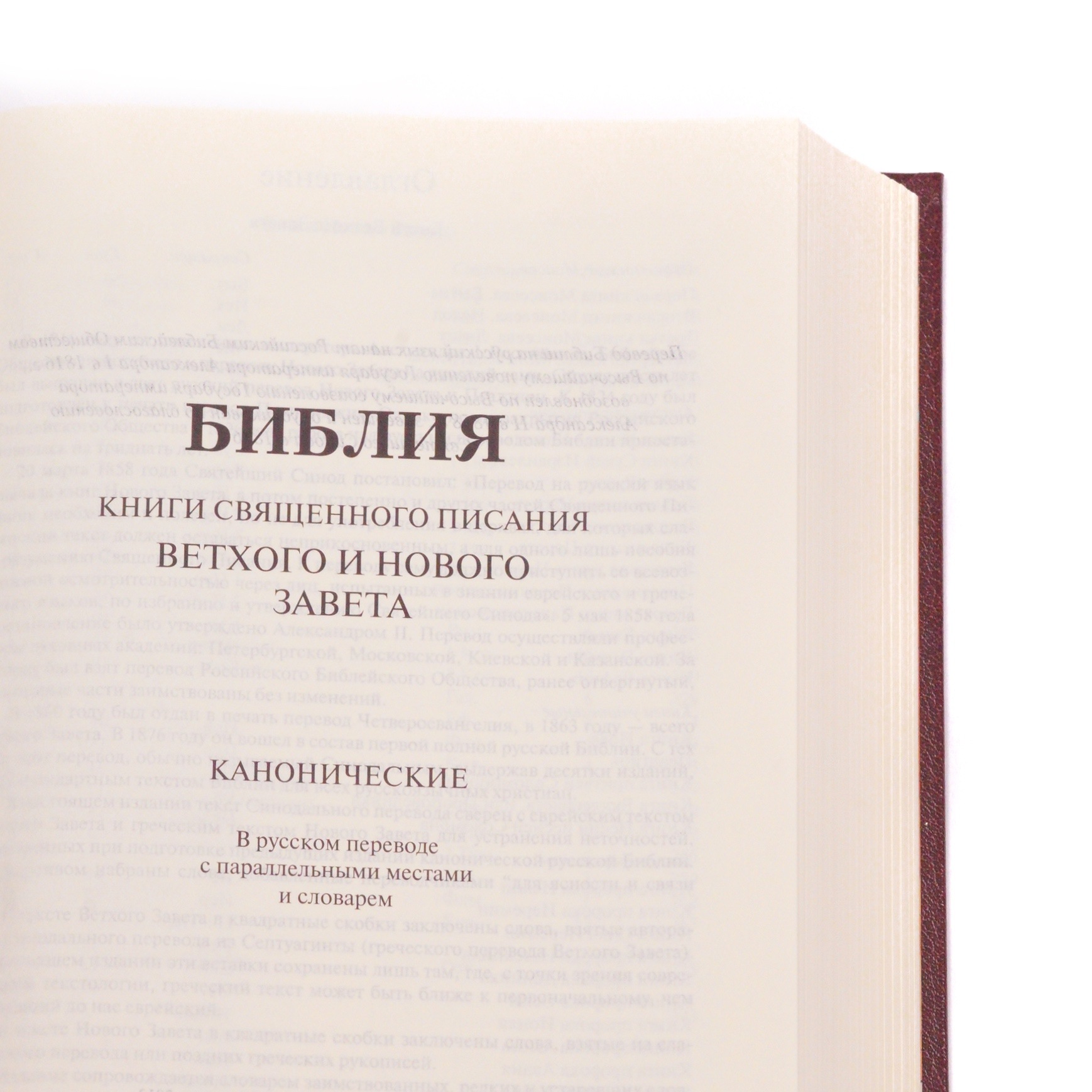 Библия арт. 11434_2
