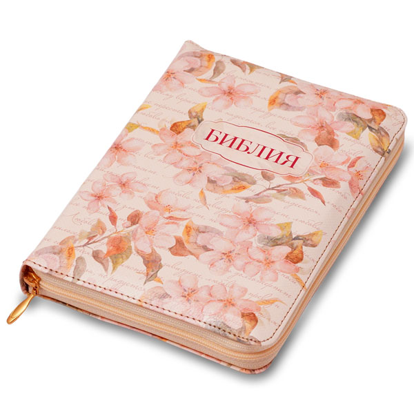11455-2/bible-11455-2-1m.jpg
