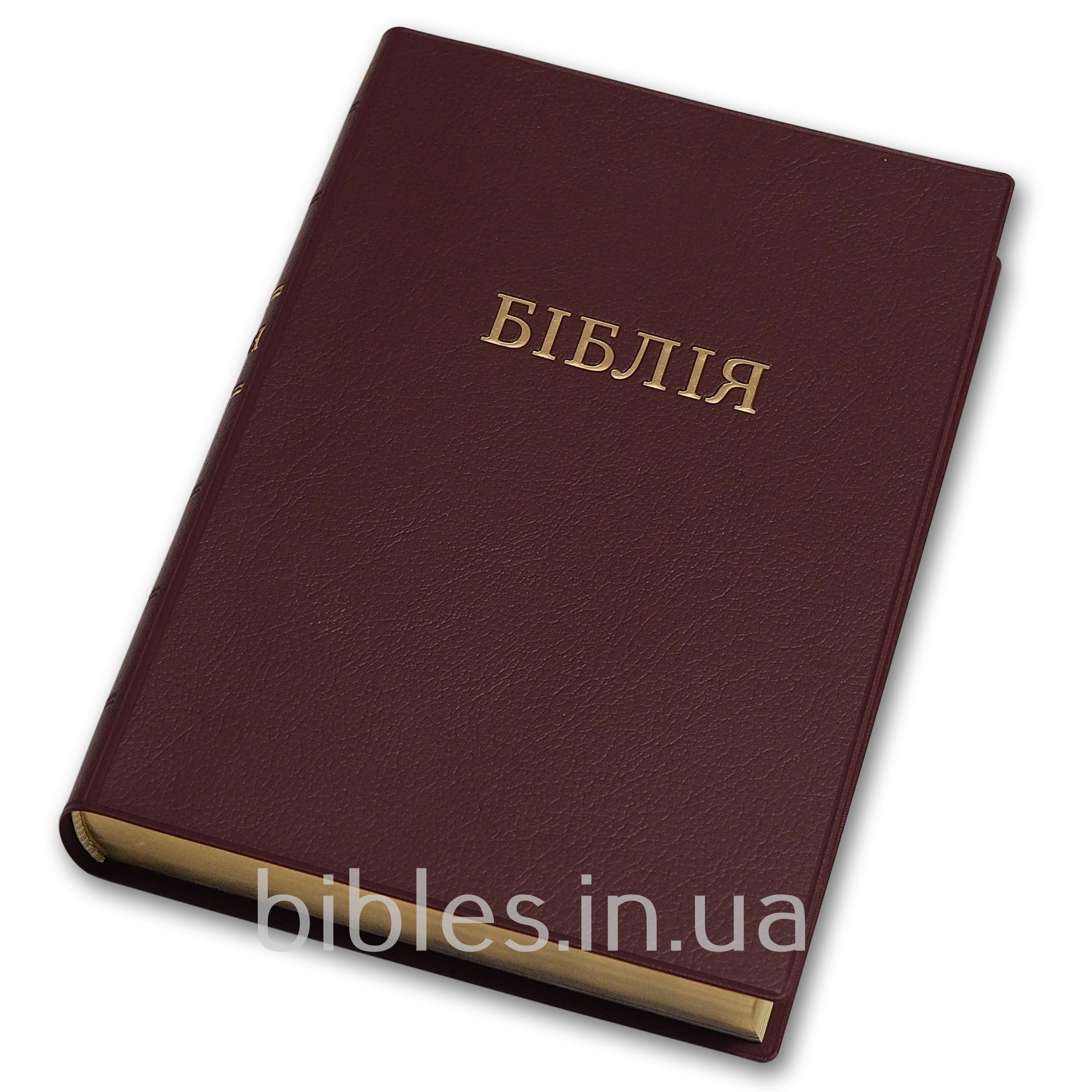Библия в современном переводе арт 10552_03