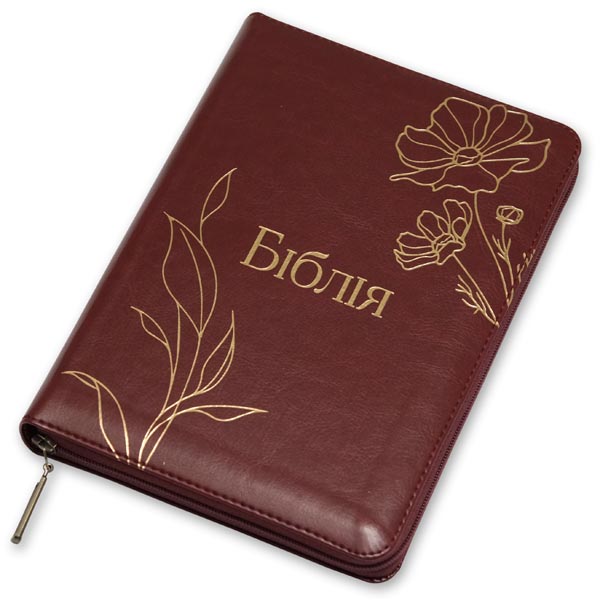 bibliia-10556-17/bibliia-10556-17-1m.jpg