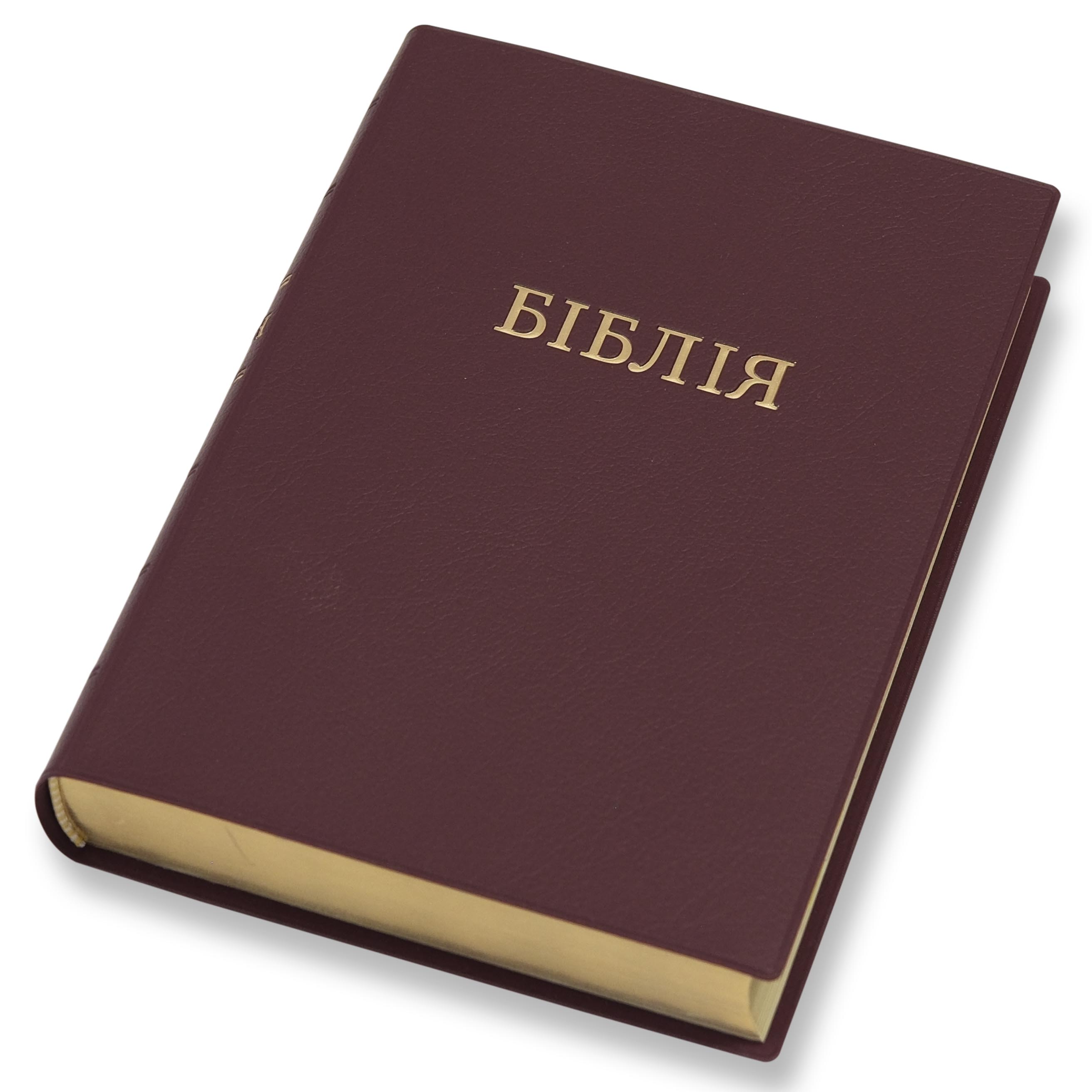 Біблія у сучасному перекладі арт 10562_02