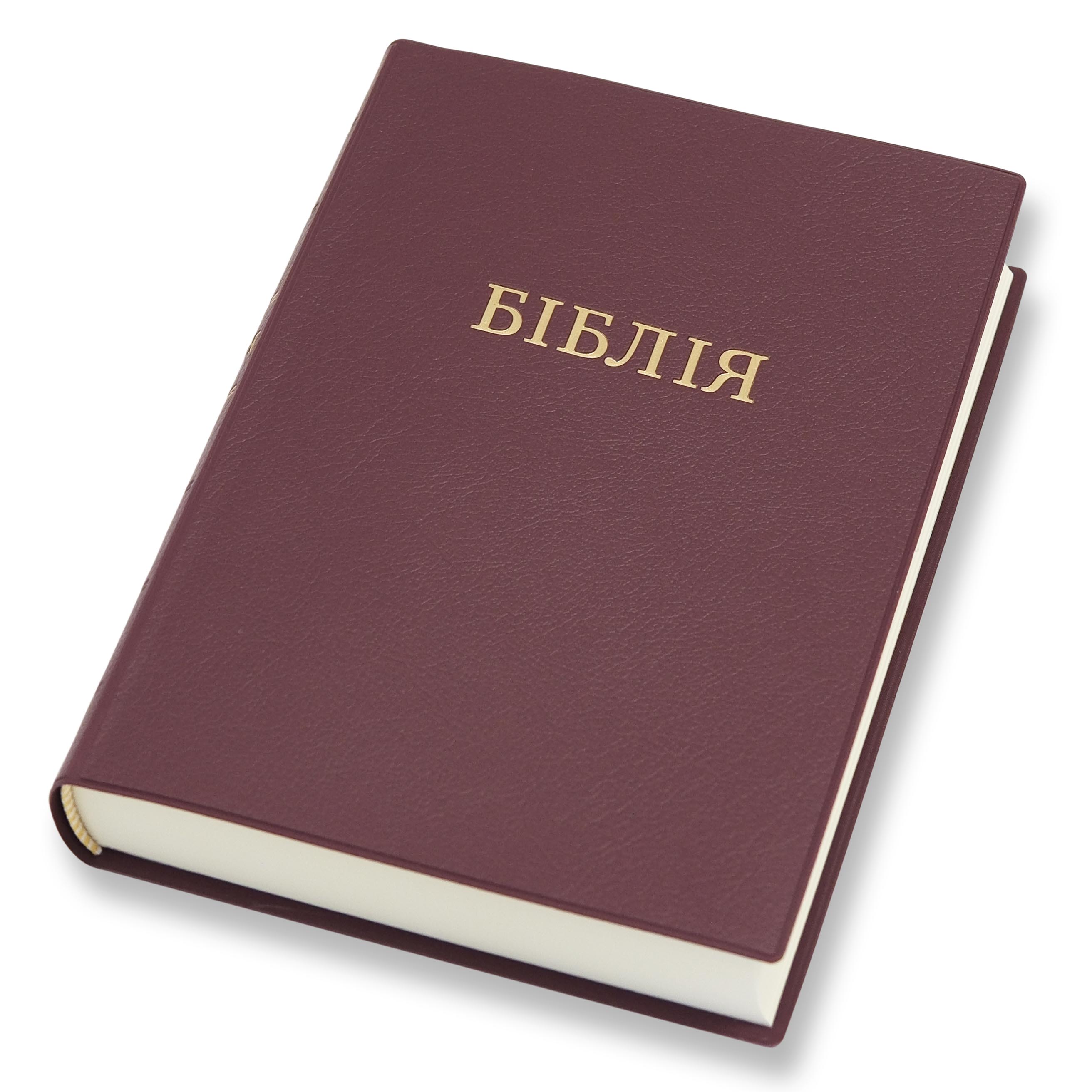 Біблія у сучасному перекладі арт 10572_32