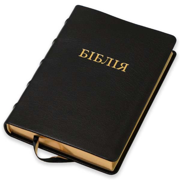 bibliya-u-suchasnomu-perekladi-art-10567-31/Bibliia-suchasnyi-pereklad-1056731-8m.jpg