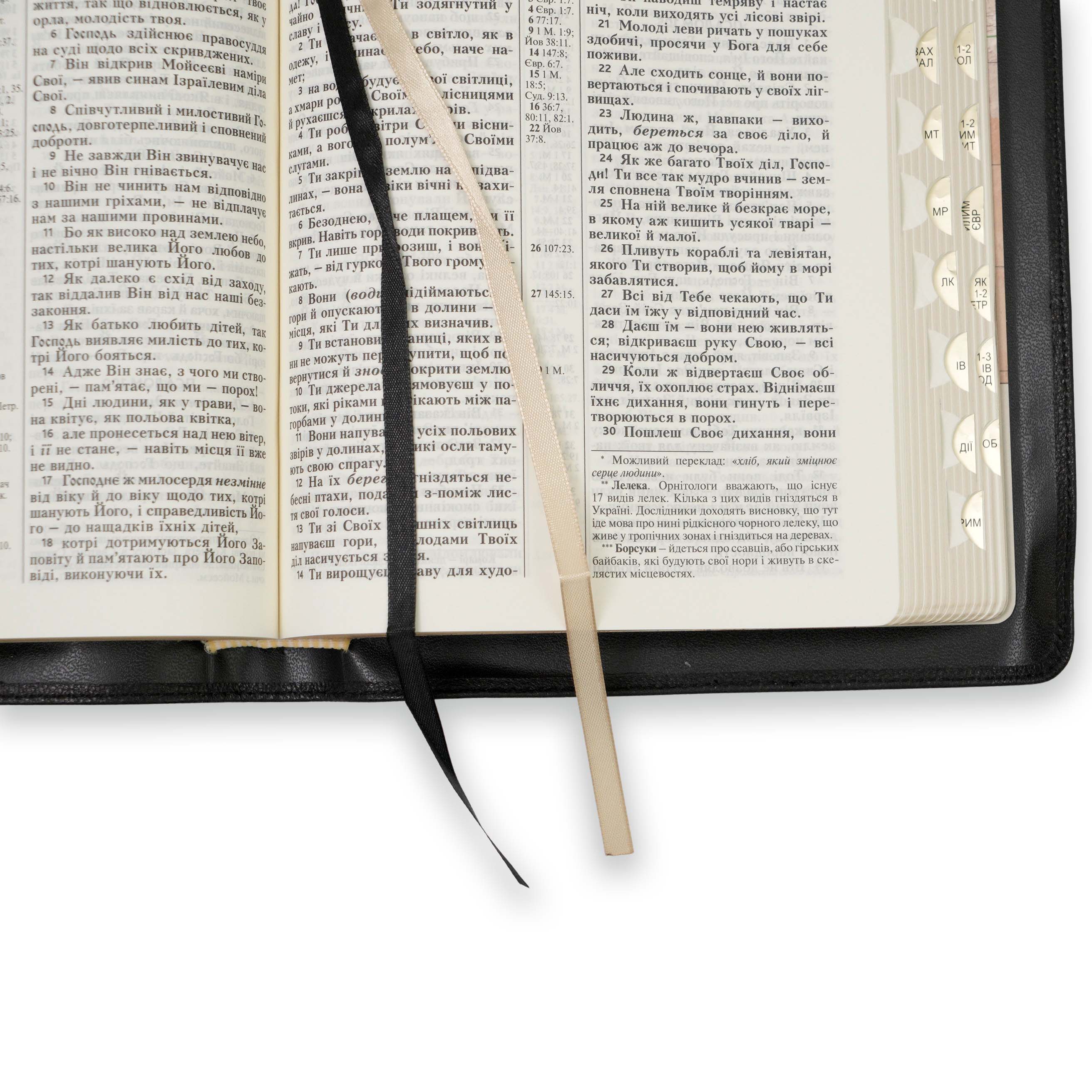 Біблія у сучасному перекладі арт 10578_31
