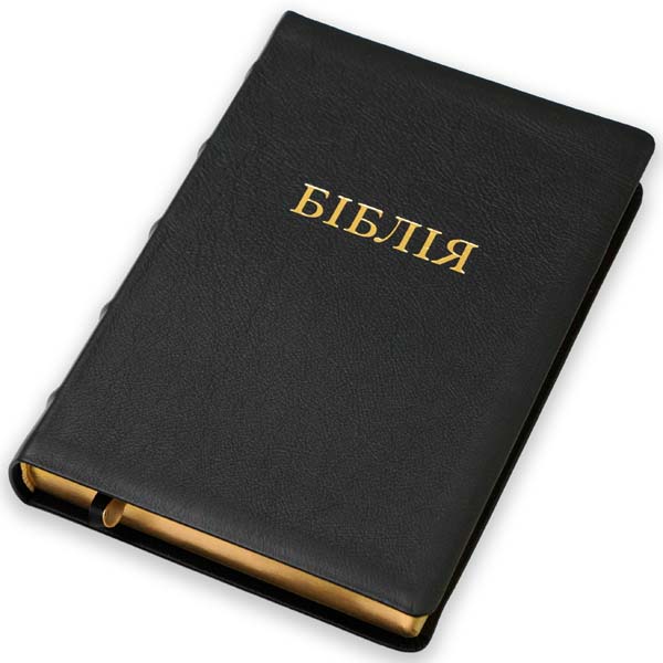 bibliya-u-suchasnomu-perekladi-art-10578-32/Bibliia-suchasnyi-pereklad-1057832-9m.jpg