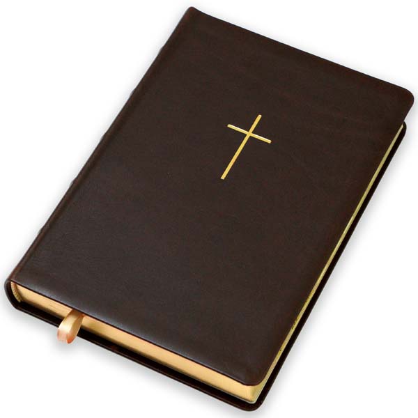 bibliya-u-suchasnomu-perekladi-art-10578-51/Bibliia-suchasnyi-pereklad-1057851-8m.jpg